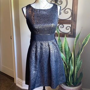 NWT The Limited Dress - Size 2